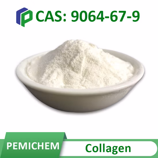 製造供給 99% 純粋な化粧品原料トラネキサム酸粉末 CAS 1197